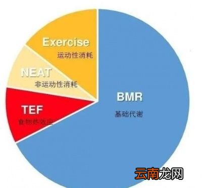 仰卧起坐为什么不能减肚子