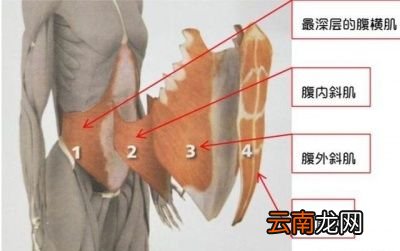 仰卧起坐为什么不能减肚子