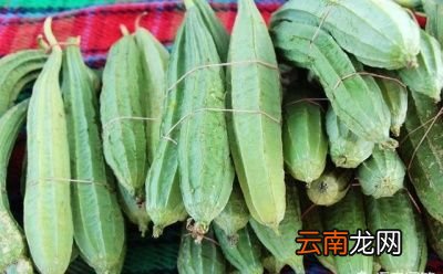 丝瓜是有棱的好还是无棱的好