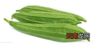 无棱丝瓜和有棱丝瓜哪种好