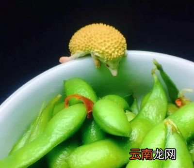 水煮毛豆的做法