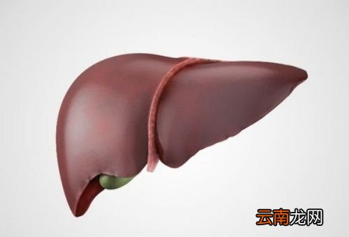 放屁多是肝病的前兆吗