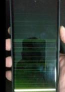 谷歌将在下个月通过更新修复Pixel6显示问题