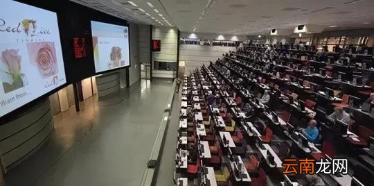 拍卖方式不只一种,荷兰式拍卖是什么 拍卖方式有哪几种