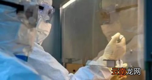 核酸检测结果哪种是正常