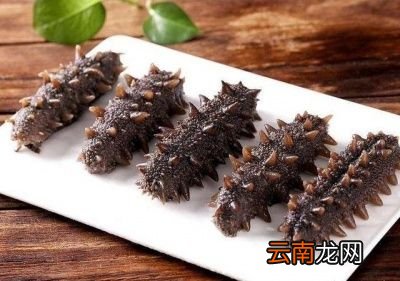 干海参干鱼肚怎么水发