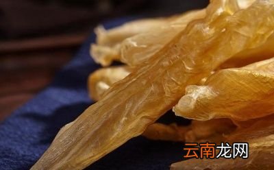 干海参干鱼肚怎么水发