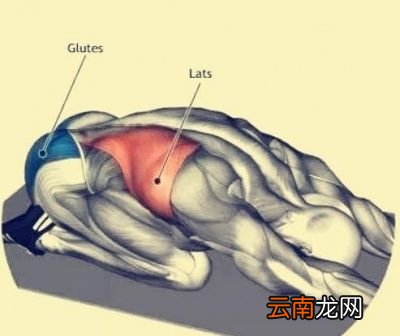 关于拉伸的好处理论上面的说法
