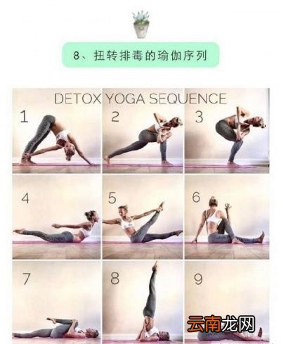 关于拉伸的好处理论上面的说法