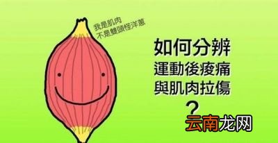 拉伸腿部内侧的好处