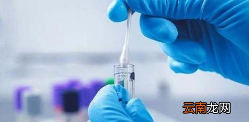 核酸检测结果为什么全正常