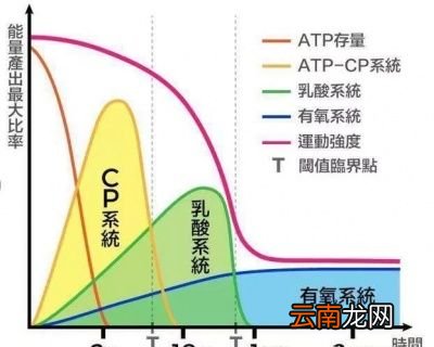 健身前应该怎么吃