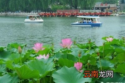 二伏为何要吃面