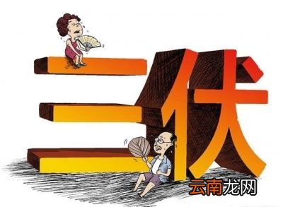 二伏为何要吃面