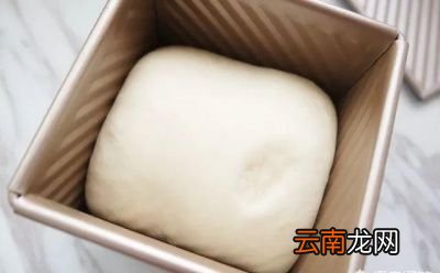 判断面团是否发酵完美