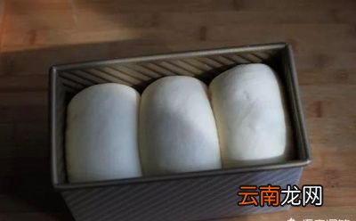 判断面团是否发酵完美