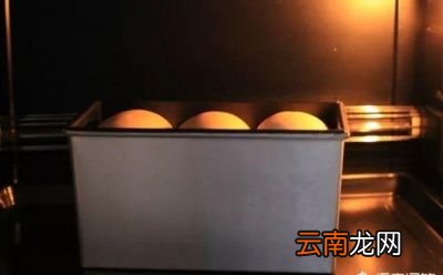 判断面团是否发酵完美