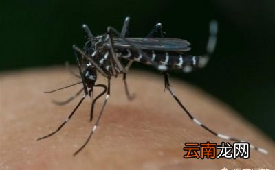 怎样避免蚊香气味不被人吸收
