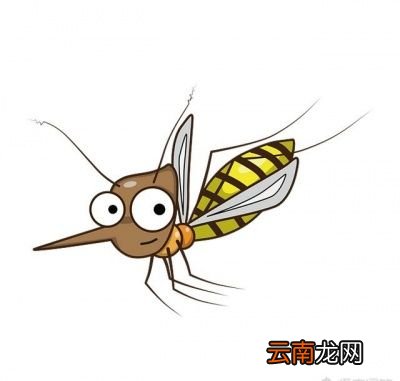怎样避免蚊香气味不被人吸收