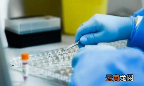 核酸检测可以异地检测吗
