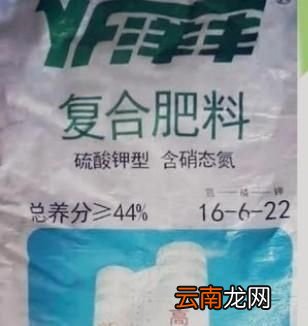 春季种植西蓝花买什么种子好该如何种植