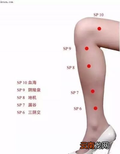 十男九湿九虚胖男人为何湿气重大腹便便