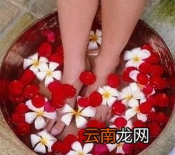 身体湿气重怎么样能除湿