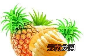 身体湿气重怎么样能除湿