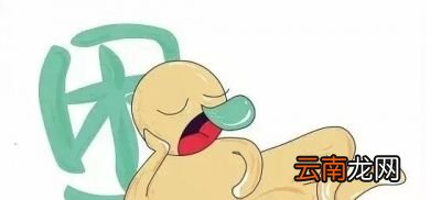如果男人湿气重该如何调理呢