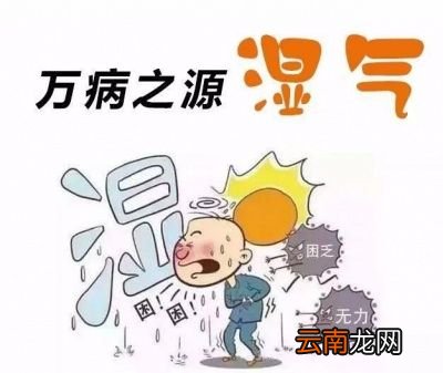 如果男人湿气重该如何调理呢