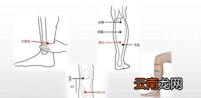 男人湿气重主要表现在以下几方面