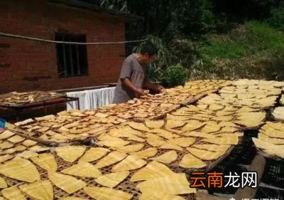 农村竹林内的春笋生虫了挖出来到底能不能吃