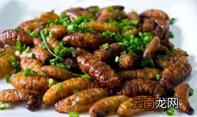 生虫的春笋还可以挖来吃吗
