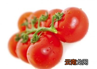 掌握科学合理的种植方法是提高产量的关键