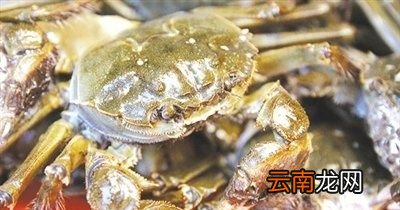 高铁螃蟹可以过安检吗