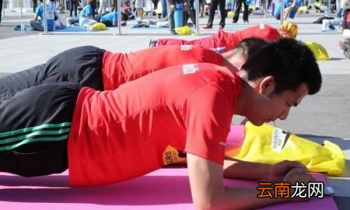 平板支撑锻炼哪些肌肉