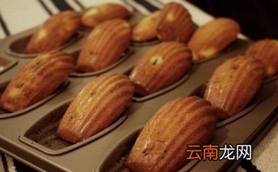 发酵又是指什么呢