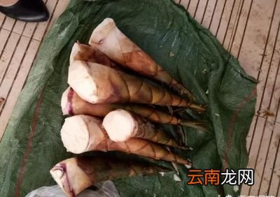 农村里有哪些合适晒干保存的野菜