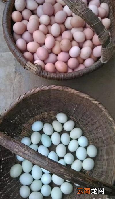 问题你觉得土鸡蛋和洋鸡蛋吃起来口感有区别吗