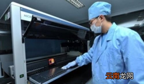 核酸为什么是24小时的