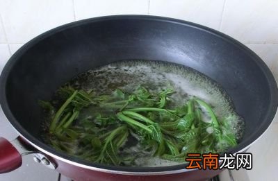 香椿吃之前必须要焯下水为什么