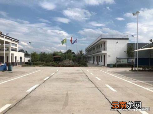 蝎子养殖市场前景如何 蝎子药材市场需求大不大？