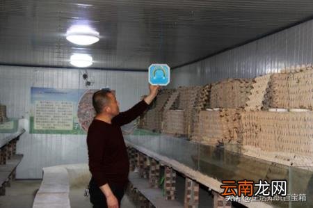 蝎子养殖市场前景如何 蝎子药材市场需求大不大？