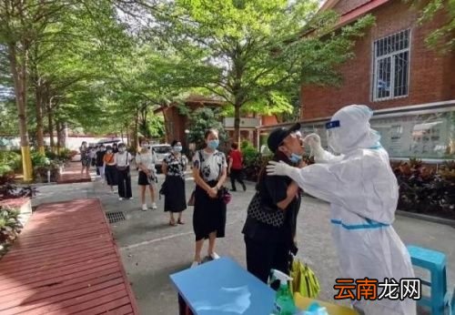 手机上怎么查不到核酸检测报告
