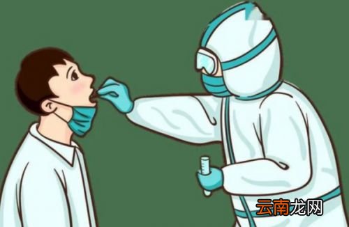 手机上怎么查不到核酸检测报告