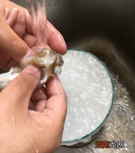 如何去掉生蚝的内脏