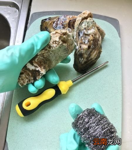 如何去掉生蚝的内脏