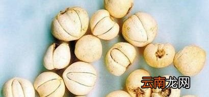 新鲜百合什么人不能吃