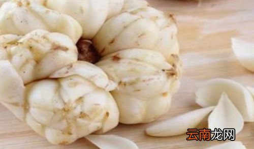 怎么样的人不适合吃百合