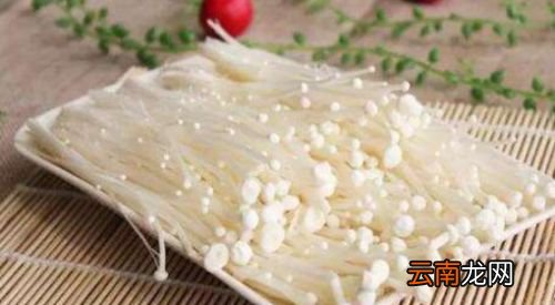 怎样判断金针菇是否坏了